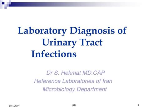 Ppt Laboratory Diagnosis Of Urinary Tract Infections Powerpoint