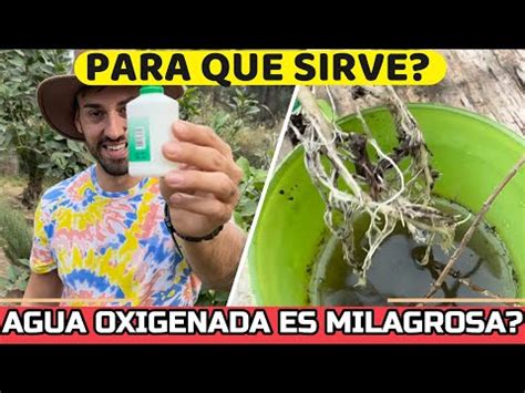 Descubre Los Sorprendentes Beneficios Del Agua Oxigenada Para Las