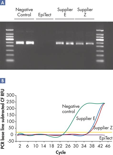 EpiTect Bisulfite Kits