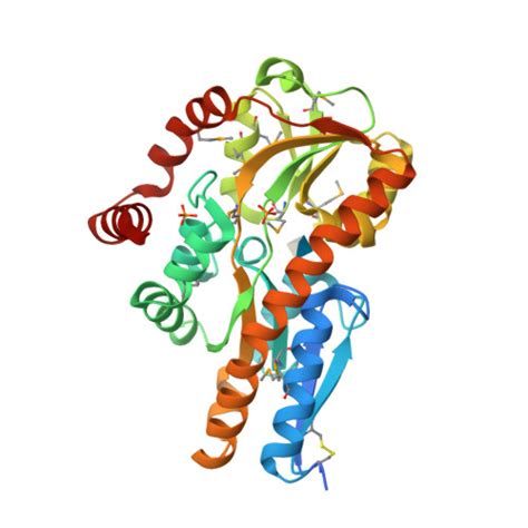 Rcsb Pdb X R Crystal Structure Of A Trap Periplasmic Solute Binding