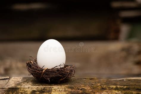 One White Chicken Egg In A Straw Nest On A Board Egg And Food Stock