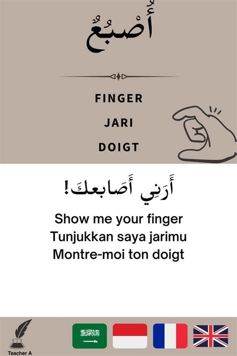 أصبع Finger Jari Doigt Kosa Kata Bahasa Arab Arabic Vocabulary Vocabulaire Arabe Kalimat