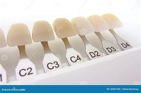 Tooth Color Chart Shade Guide