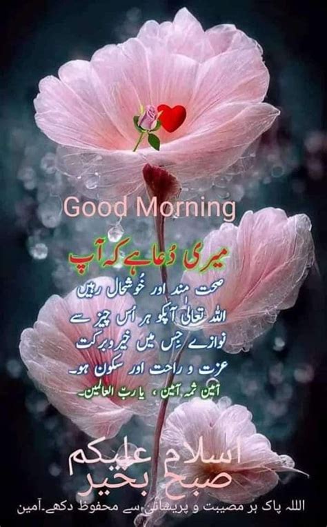 Pin On Subah Bakhair Good Morning Images Flowers Beautiful Morning