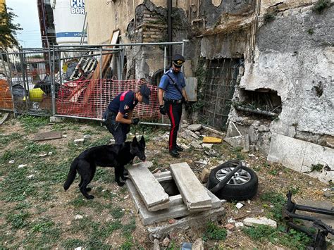 Degrado A Quarticciolo E Centocelle Blitz Di Controlli Dei Carabinieri