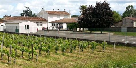 Enfants Intoxiqu S Par Les Pesticides En Gironde Dix Ans Apr S