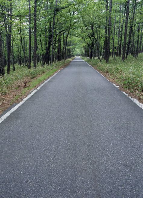 无人竖图室外白天正面消失点旅游度假草地草坪美景树林植物道路路日本亚洲景观小路交通娱乐草树树木