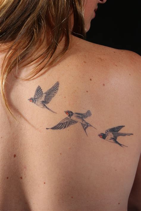 Barn Swallow Tattoo Designs Wallpaper Mix