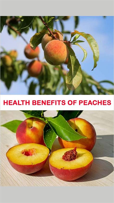 List Of Top Health Benefits Of Peaches Peach Health Benefits Health