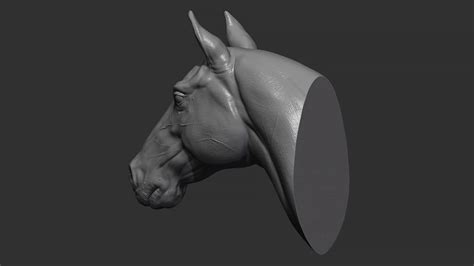 Horse Head - 3D Model by guninnik81