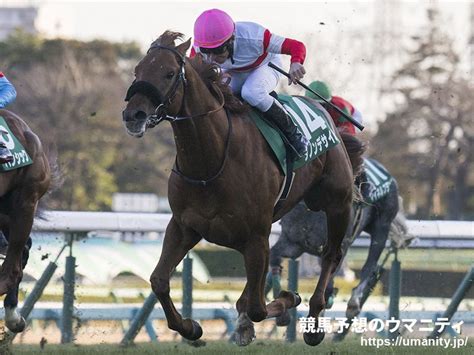 【皐月賞】ダノンデサイルは右前肢跛行で競走除外｜競馬ニュース｜競馬予想のウマニティ