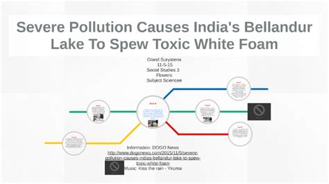 Severe Pollution Causes India's Bellandur Lake To Spew Toxic by Gland ...