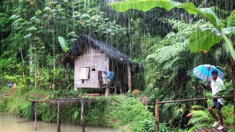 Suasana Hujan Di Kampung Terpencil Hujan Turun Di Pedesaan Bikin Sejuk