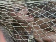 Naked Michaela Roos In Ein Echter Hausfrauenfreund