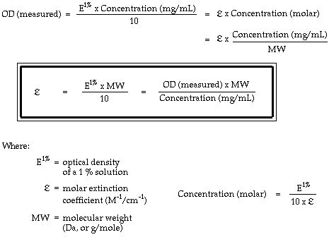 Extinction Coefficient Protein Nm Work