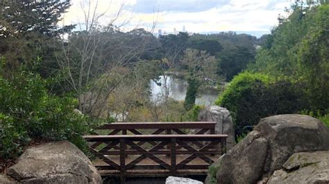 San Franciscos Golden Gate Park Renames Stow Lake To Blue Heron Lake