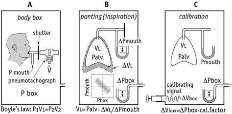 Artp Statement On Pulmonary Function Testing 2020 Bmj Open