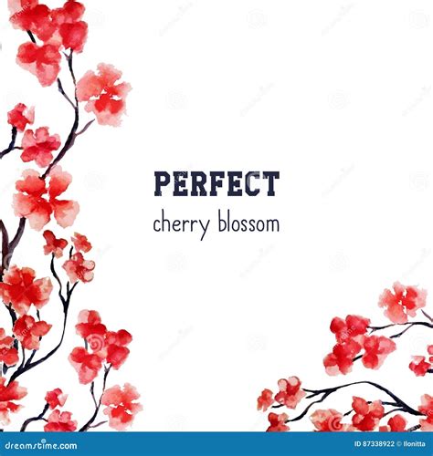 Realistic Sakura Blossom Japanese Red Cherry Tree Isolated On White