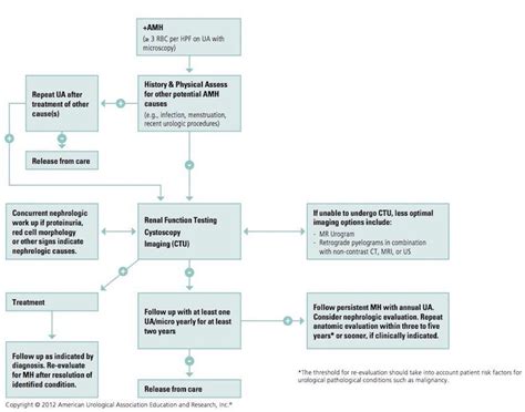 Hematuria (Blood in the urine) - Santa Monica, CA: Mehran Movassaghi, MD