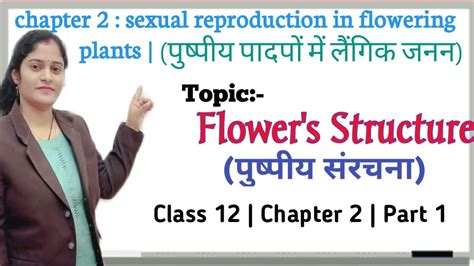 12bio Ch2p1 Flowers Structure As Reproductive Part प्रजनन रूप में