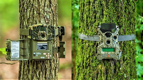 Top 10 Best Trail Cameras 2023 Best Game Camera 2023 Youtube