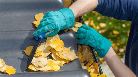 6 Practical Fall Clean-Up Tips for Homeowners