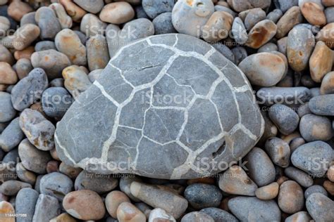 Pebbles At The Beach Stock Photo - Download Image Now - Alum Bay, Backgrounds, Beach - iStock