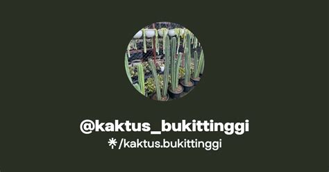 Kaktus Bukittinggi Linktree