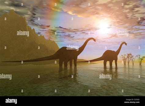 Diplodocus Fossil Hi Res Stock Photography And Images Alamy