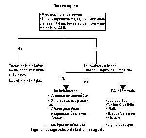 Protocolo De Diarrea Aguda Y Cr Nica Medicina Interna Complejo