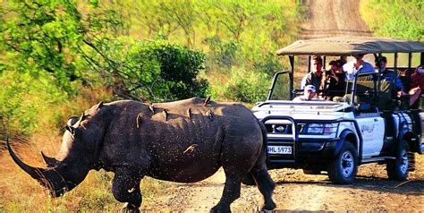 India Trip Package Kaziranga National Parks Tour