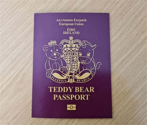 Teddy Bear Passport Ireland Etsy