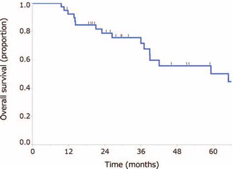 Kaplan Meier Curve For Overall Survival The Median Survival Time Was