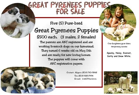 Puppies For Sale Flyer Template