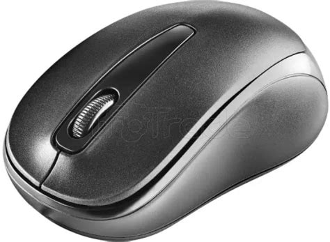 Souris Sans Fil Ngs Easy Gamma Noir Pour Professionnel Fotrade