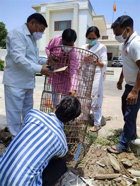 विश्व पर्यावरण दिवस पर भाजपा जिला अध्यक्ष ने किया वृक्षारोपण प्रकृति