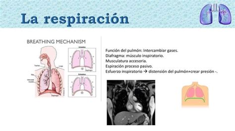 2018 01 08 VENTILACION MECANICA NO INVASIVA Y OXIGENOTERAPIA EN