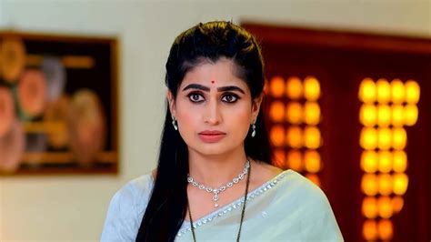 Watch Radhaku Neevera Praanam TV Serial 28th December 2023 Full Episode