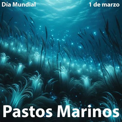 Dia Mundial De Los Pastos Marinos 1 Días Mundiales