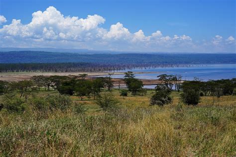 Lake Nakuru National Park Kenya Lake Nakuru Is One Of The Flickr