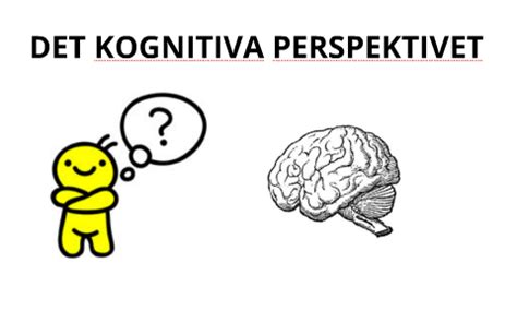 Det Kognitiva Perspektivet By Sofia Andersson On Prezi