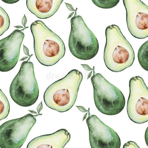 Watercolor Avocado Seamless Stock Illustrations Watercolor