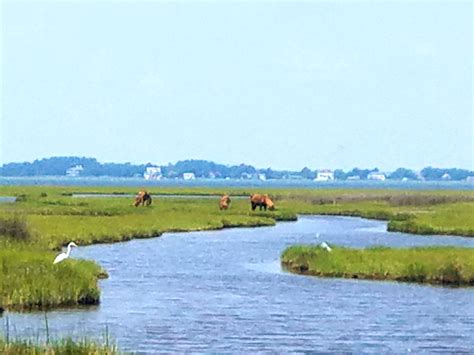 Assateague Island National Seashore Our Wabisabi Life