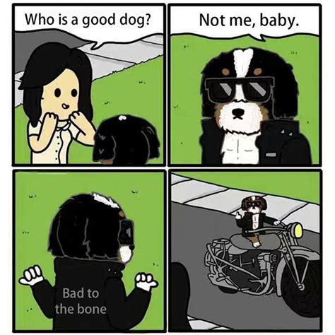 Famous bad dog meme😛🤡 | Dog memes, Bad dog, Comics