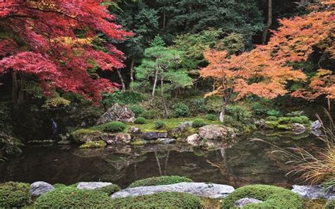 Beautiful Japanese Zen gardens: in pics