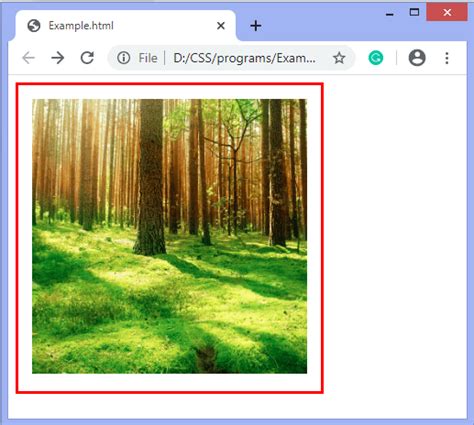 How To Set Image Size In CSS Programmer Help How To Set Image Size