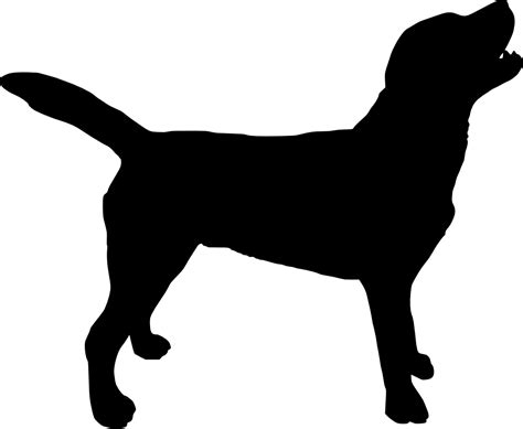 The Best Free Labrador Silhouette Images Download From 501 Free