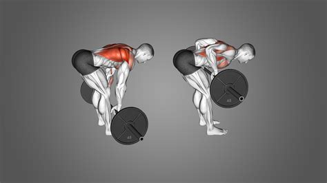 Barbell Row Alternatives For Max Gains With Pictures Inspire Us