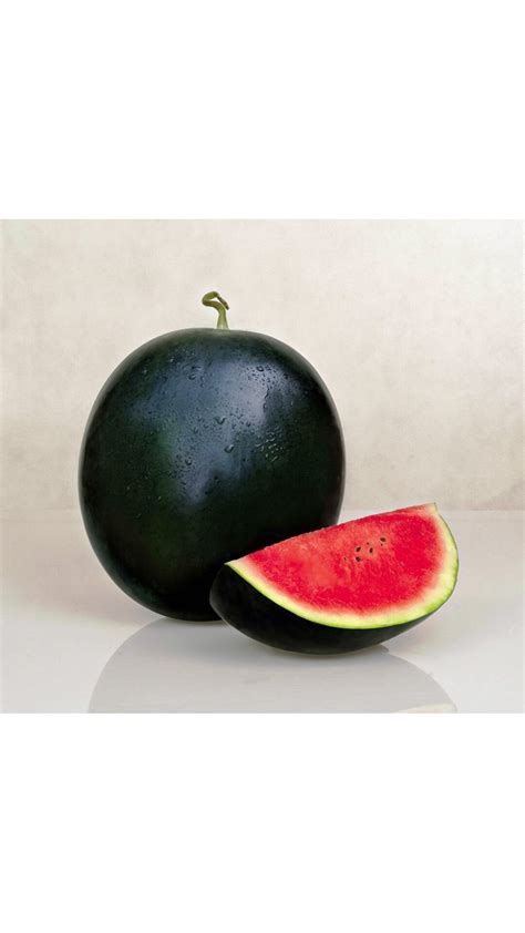 Buy Seeds Dark Green Watermelon Super Advanced Seeds - Pack of 30 ...