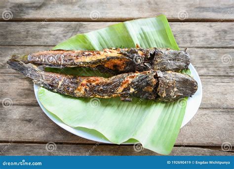 Catfish Roasted On Banana Leaf Cooked Catfish Grilled Asian Food On